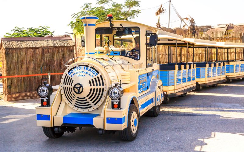 train at Dubai safari park