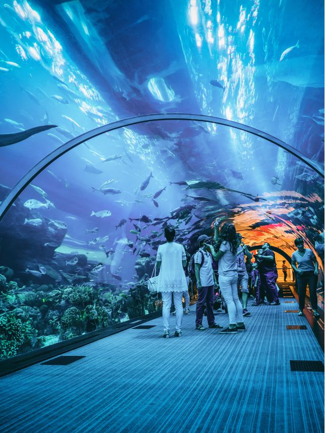 Dubai’s Spectacular Aquarium and Underwater Zoo