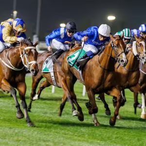 Dubai Cup (Horse Racing)