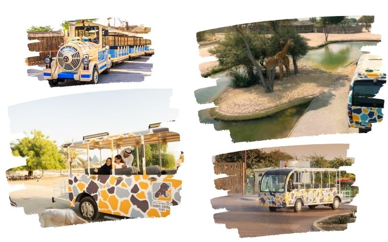 Dubai Safari Park Journey