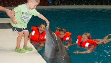 Dubai Dolphinarium