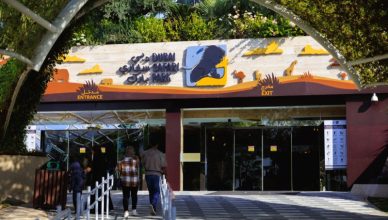 Dubai Safari Park entrance and exit