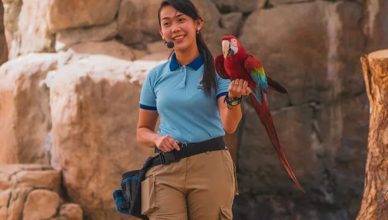 Echoes of the Wild at Dubai Safari Park