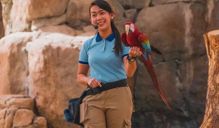 Echoes of the Wild at Dubai Safari Park