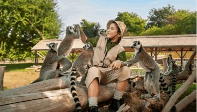 Junior Ranger at Safari Park Dubai