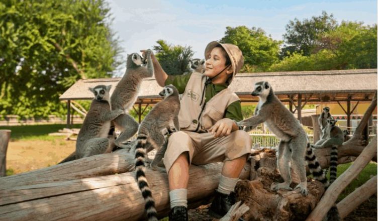 Junior Ranger at Safari Park Dubai