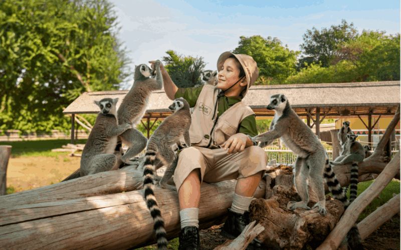 Junior Ranger at Safari Park Dubai